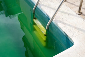 green pool water cleaner
