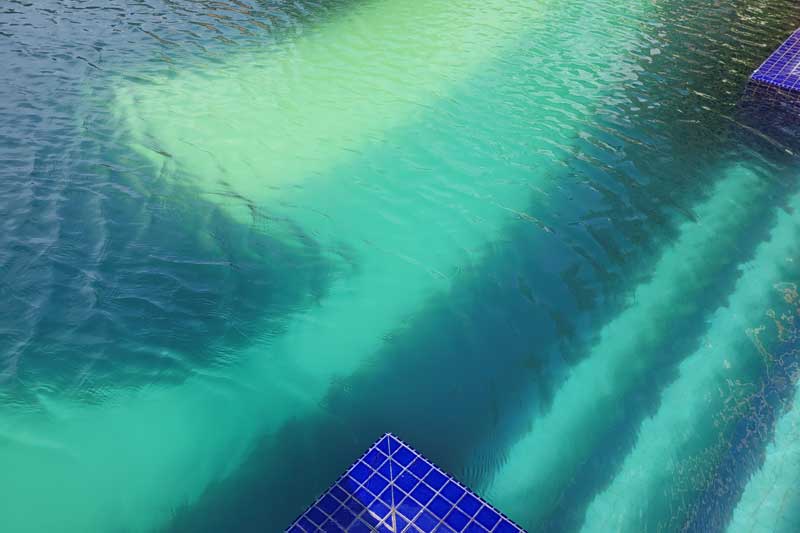 fix green pool water fast